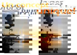 Brasserie Lac Brompton, un concept unique!