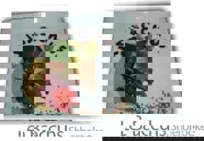 Le Bacchus : s’offrir à de joyeuses libations