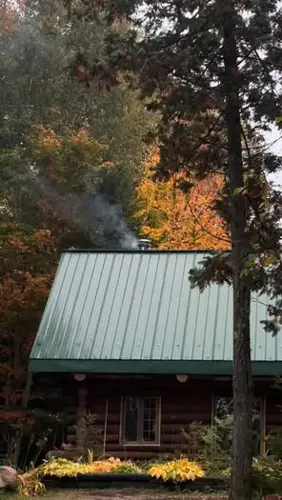 Image promotion Sous-Bois Café-buvette