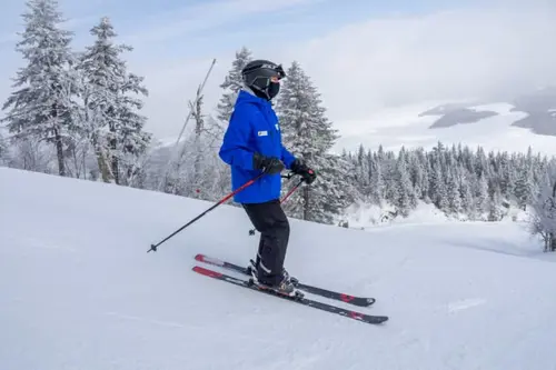 Image promotion Restaurant Club Haus Owl's Head