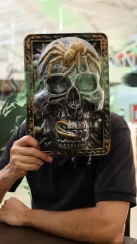 Image promotion Le Déli 440