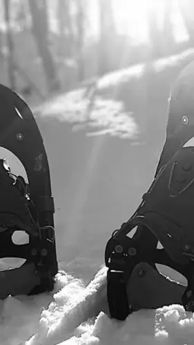 Image promotion CarpeDiem aventures