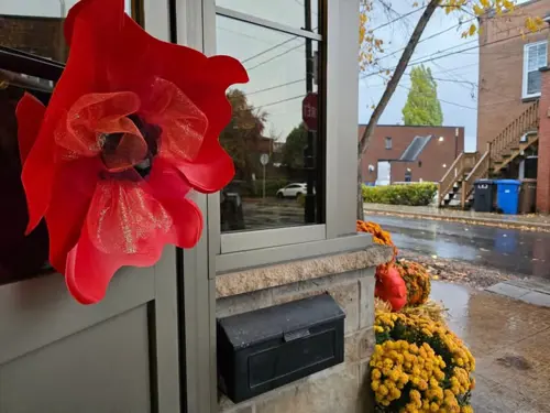 Image promotion Pub Cousi