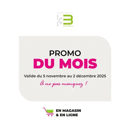 Image promotion Les trois Chefs Lévis Centre-ville