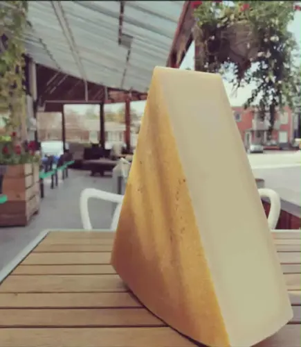 Image promotion Bolista