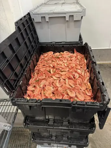 Image promotion Pêcheries Bertrand Desbois