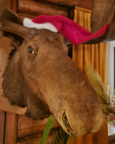 Image promotion Le Rustique Bar et Restaurant