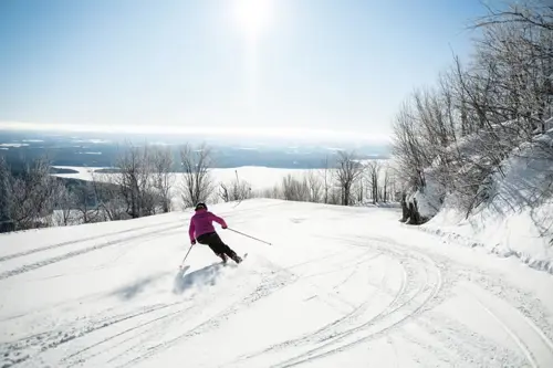 Image promotion Restaurant Club Haus Owl's Head