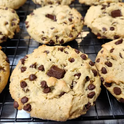 Image promotion Aliment·Ère Prêt-à-manger végétalien