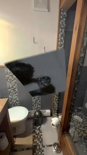 Image promotion Café des Pins