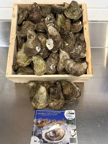 Image promotion Au Quai 33 - Poissonnerie - Café