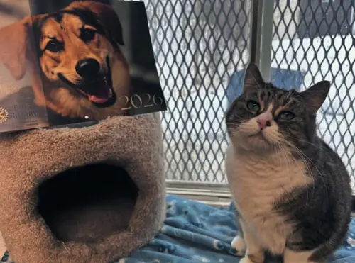 Image promotion Refuge La Bonne Étoile