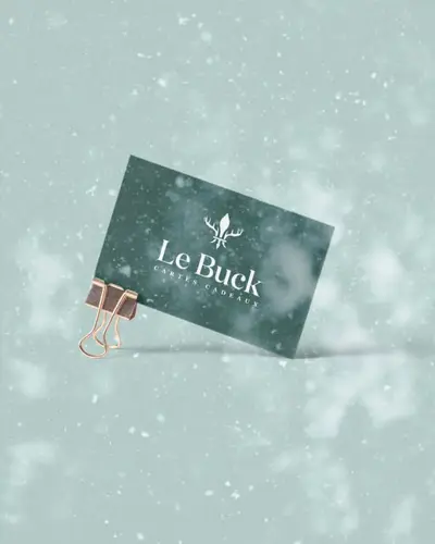 Image promotion Le Buck : Comptoir Lunch (Laferté)