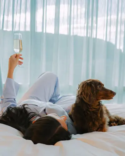 Image promotion RENOIR Restaurant