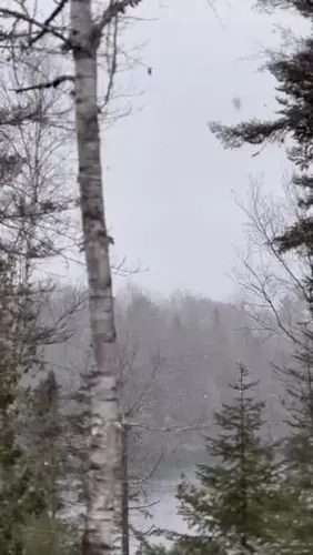 Image promotion Sous-Bois Café-buvette