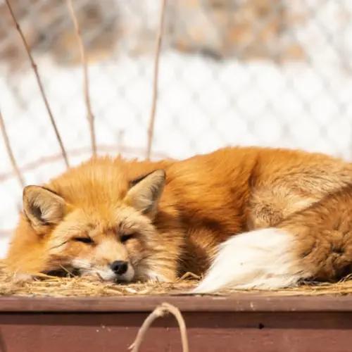 Image promotion Complexe Atlantide