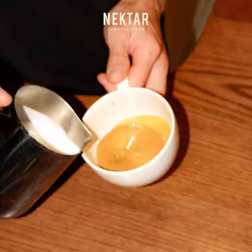 Image promotion Nektar Caféologue