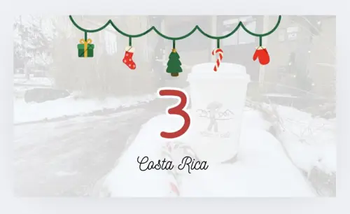 Image promotion L'Artisan du Café