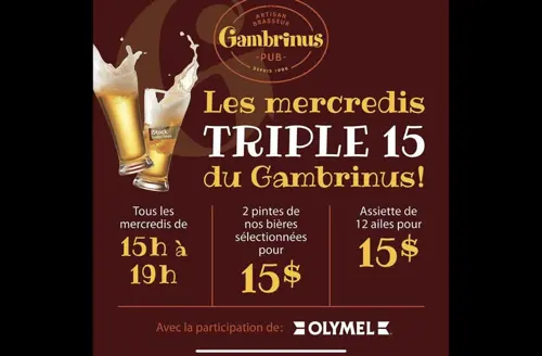 Image promotion Gambrinus - Artisan Brasseur & Pub