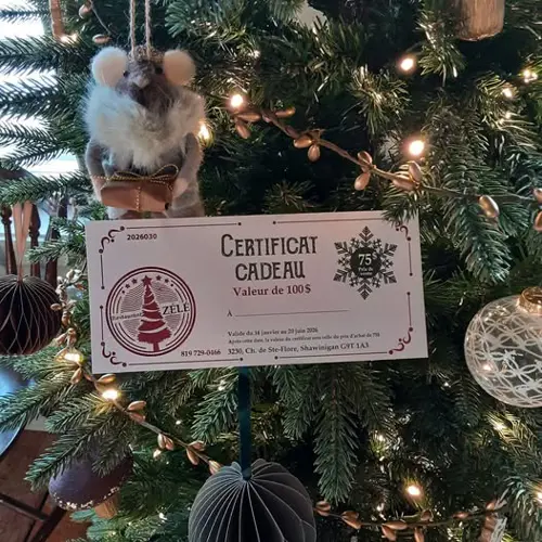 Image promotion Restaurant Zélé