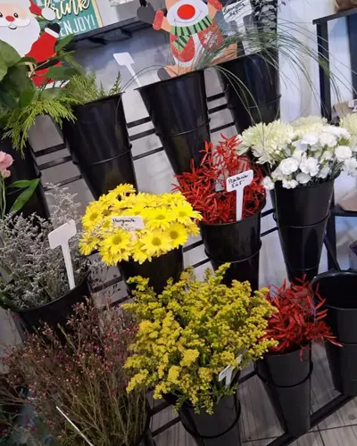 Image promotion Les délices de Fanny