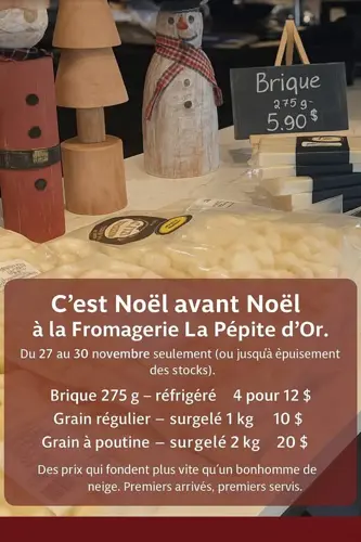 Image promotion La Poutine d'or