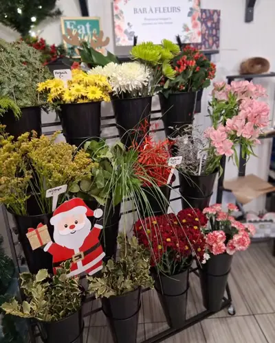 Image promotion Les délices de Fanny