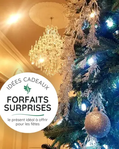 Image promotion Restaurant de l'Hôtel Montfort