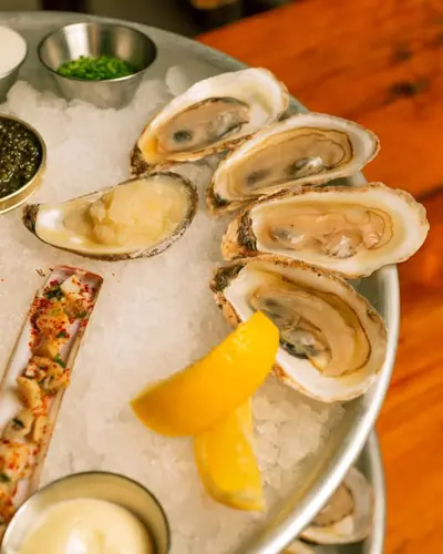 Image promotion Palomar