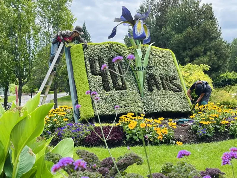 Image promotion Parc Marie-Victorin