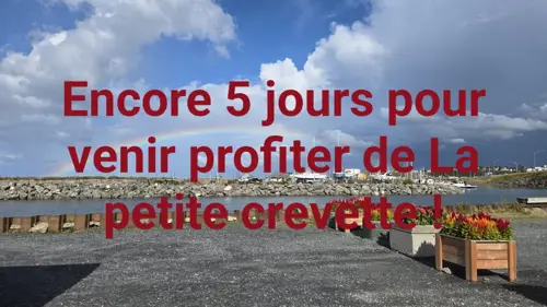Image promotion La petite crevette - Matane