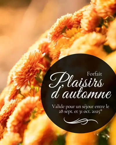 Image promotion Bistro Le Balzac