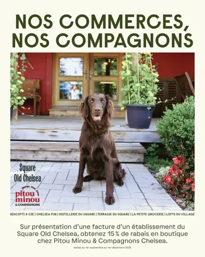 Image promotion Terrasse du Square - Restaurant & Bar