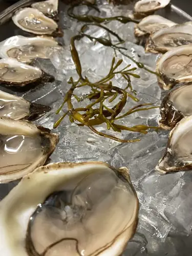 Image promotion Restaurant oyster bar Montreal MAESTRO SVP