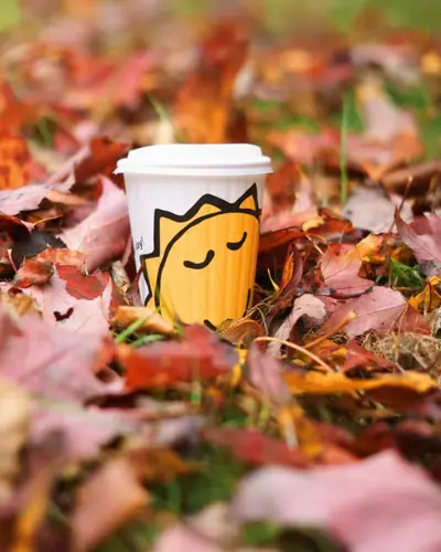 Image promotion Cora déjeuners - Breakfast and Lunch