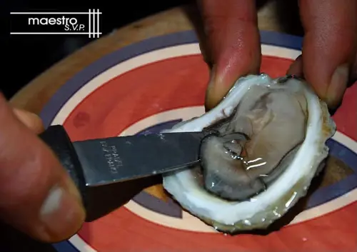 Image promotion Restaurant oyster bar Montreal MAESTRO SVP
