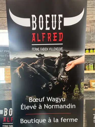 Image promotion Boeuf Alfred
